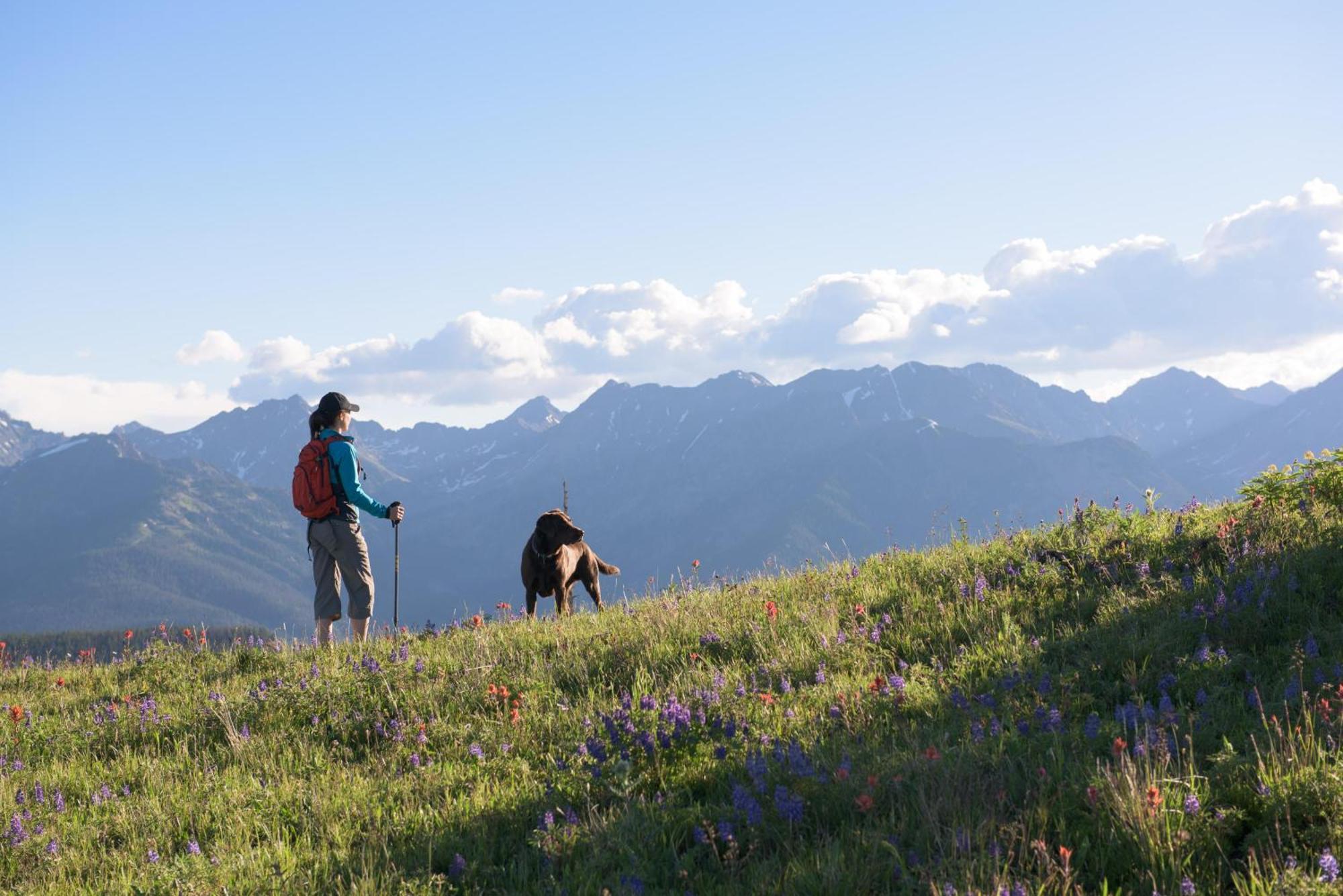 Lift House Lodge, Pet Friendly, Premium Studio Condo Vail Buitenkant foto