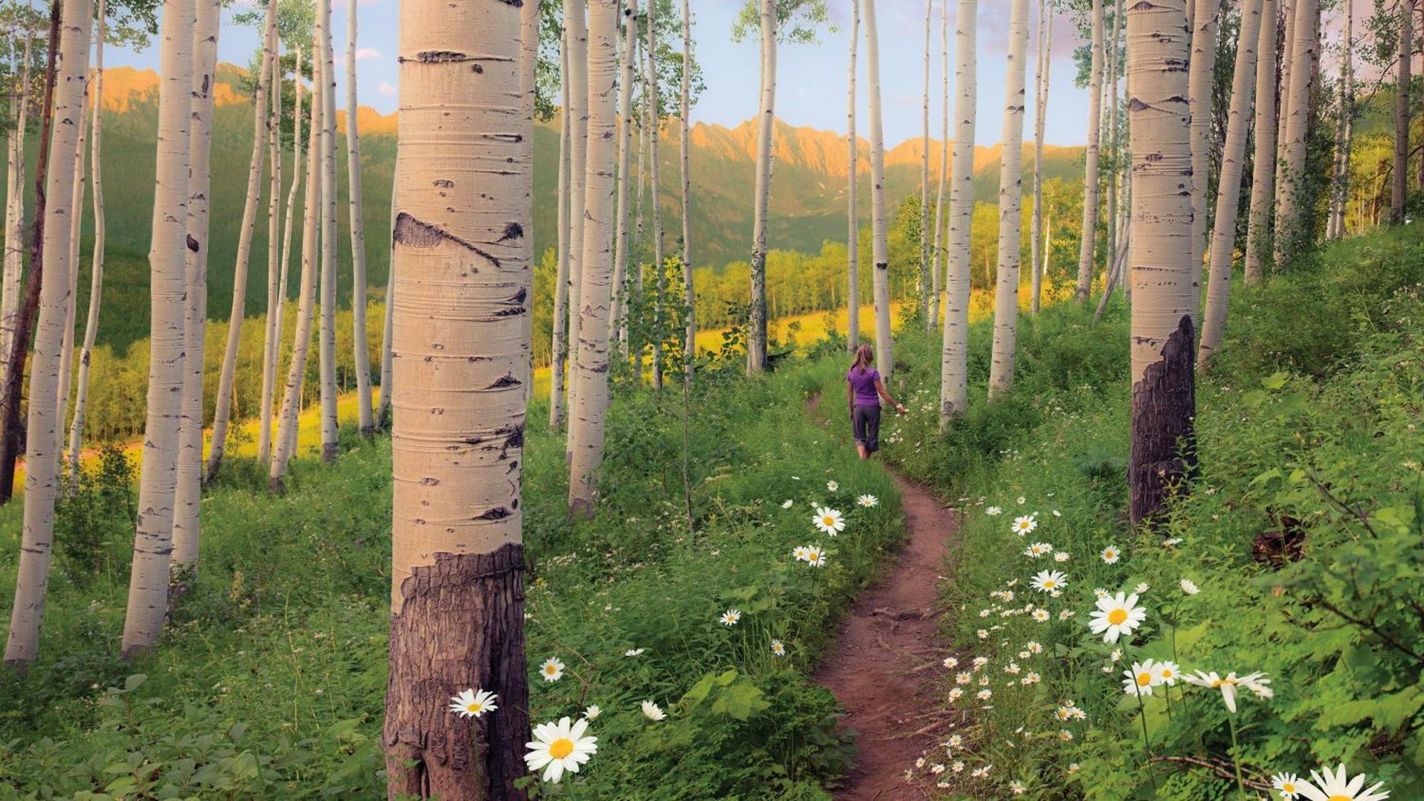 Lift House Lodge, Pet Friendly, Premium Studio Condo Vail Buitenkant foto
